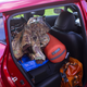 Image for article titled There's Only One Thing Wrong With The Nissan Leaf